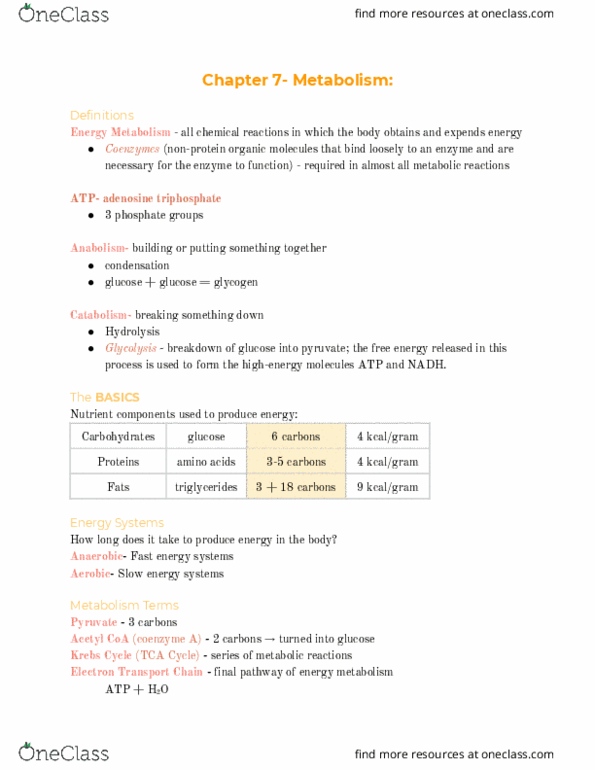 NHM 101 Lecture Notes - Lecture 8: Electron Transport Chain, Citric Acid Cycle, Coenzyme A thumbnail