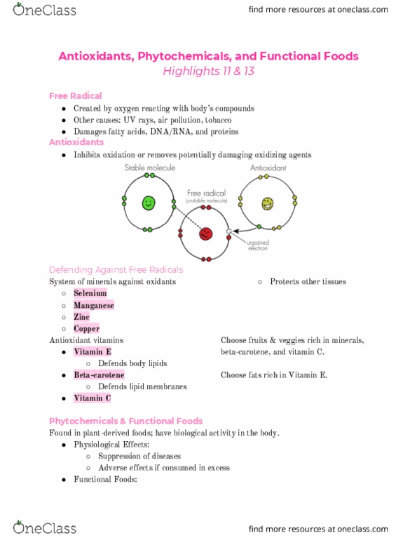 NHM 101 Lecture Notes - Lecture 12: Phytoestrogens, Beta-Carotene, Lycopene thumbnail