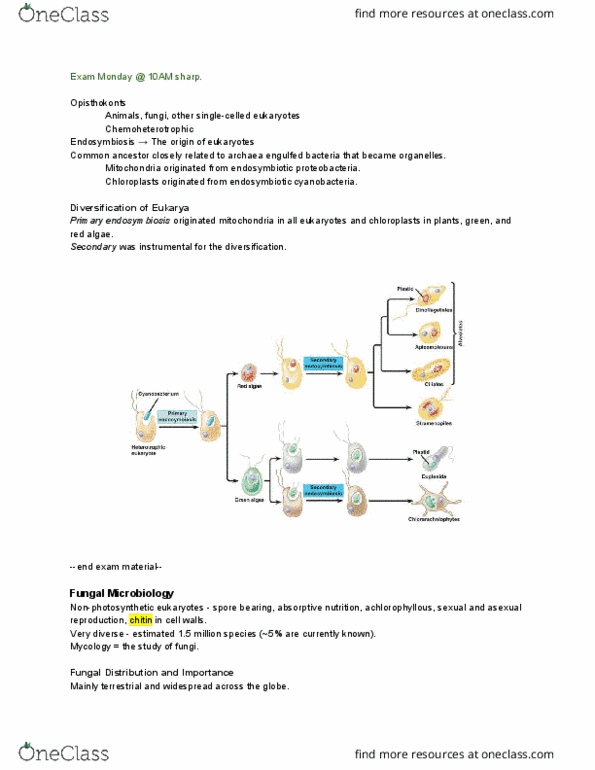 BIOM-360 Lecture Notes - Lecture 13: Mycology, Red Algae, Proteobacteria thumbnail