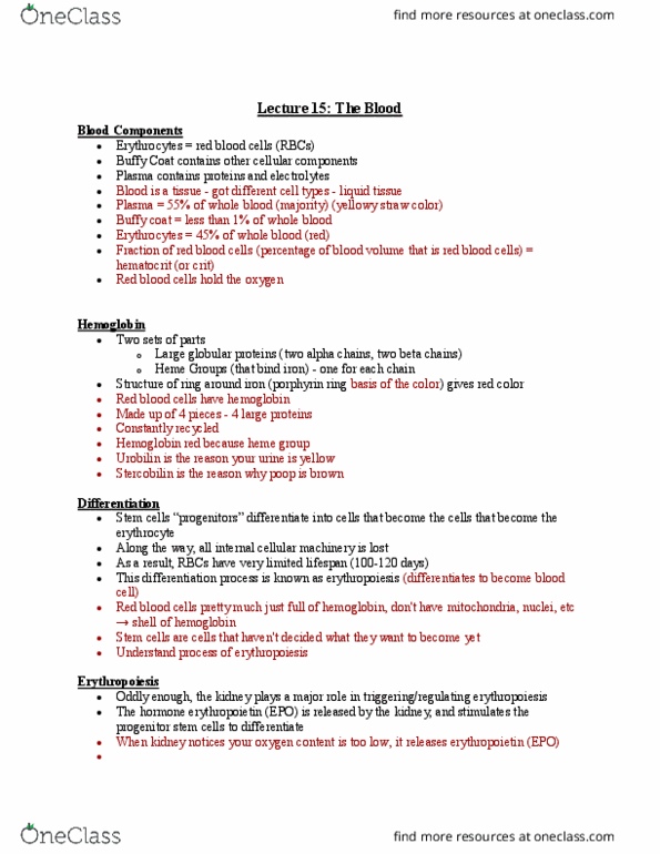 PHIS 206 Lecture Notes - Lecture 15: Buffy Coat, Erythropoiesis, Urobilin thumbnail