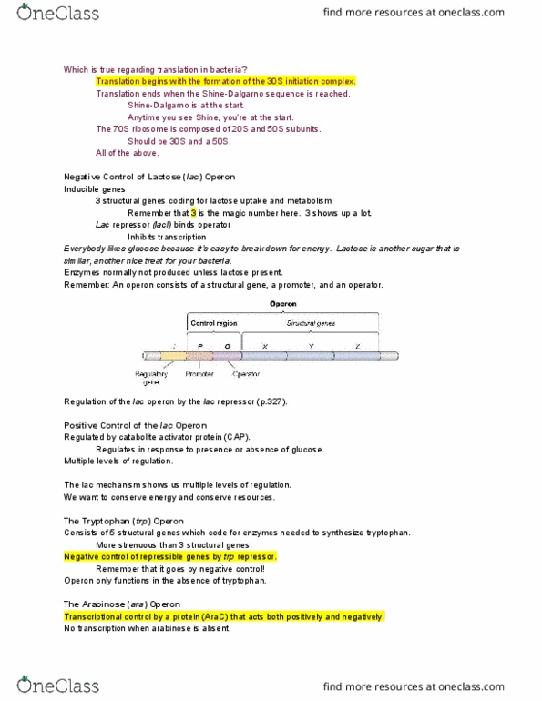 BIOM-360 Lecture Notes - Lecture 25: Lac Operon, Trp Operon, Lac Repressor thumbnail