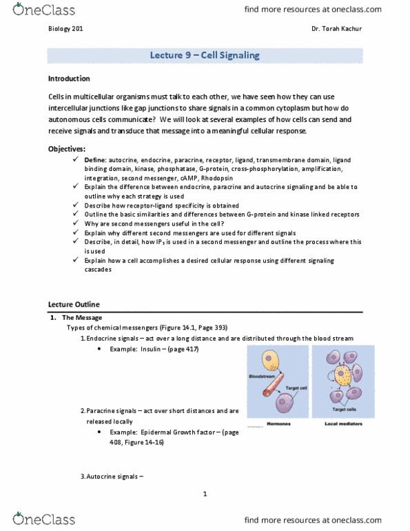 IMIN200 Lecture Notes - Lecture 9: Autocrine Signalling, Insulin Receptor, Paracrine Signalling thumbnail