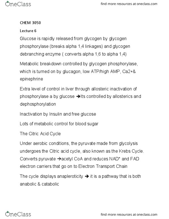 CHEM 3050 Lecture Notes - Lecture 6: Flavin Adenine Dinucleotide, Glycogen Debranching Enzyme, Glycogen Phosphorylase thumbnail
