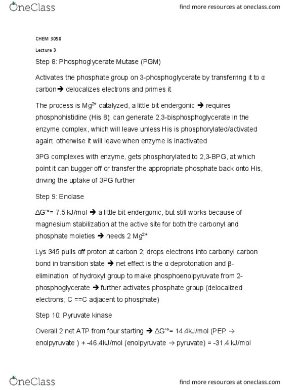 CHEM 3050 Lecture Notes - Lecture 3: 3-Phosphoglyceric Acid, Enolase, Phosphoenolpyruvic Acid thumbnail