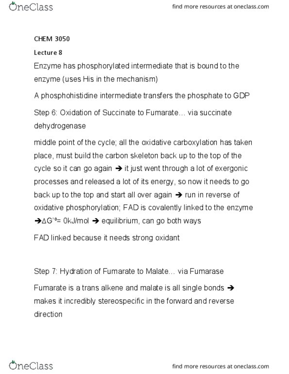 CHEM 3050 Lecture Notes - Lecture 8: Citric Acid Cycle, Oxidative Phosphorylation, Malic Acid thumbnail