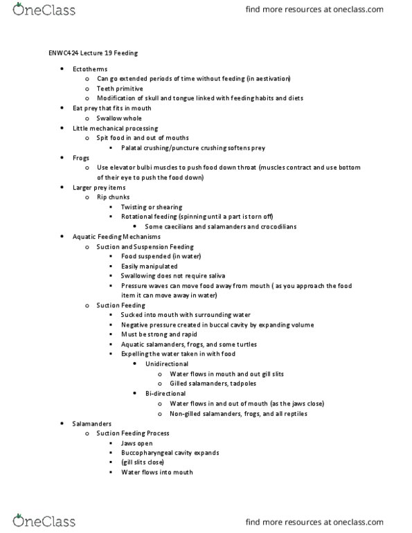 ENWC424 Lecture Notes - Lecture 19: Aquatic Feeding Mechanisms, Pipidae, Giant Salamander thumbnail