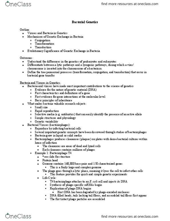 MBG 2040 Lecture Notes - Lecture 5: Lysogenic Cycle, Genetic Variability, Chromosome thumbnail