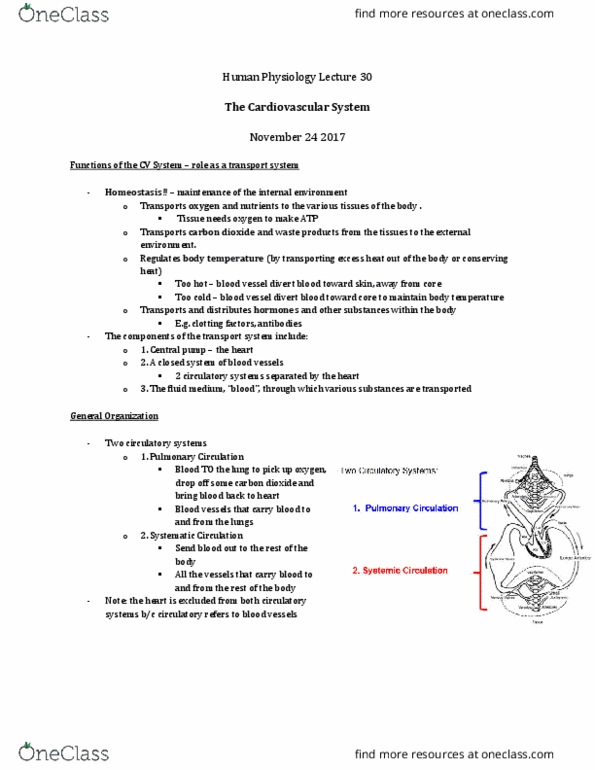 Physiology 3120 Lecture Notes - Lecture 30: Pulmonary Vein, Pulmonary Artery, Pulmonary Circulation thumbnail