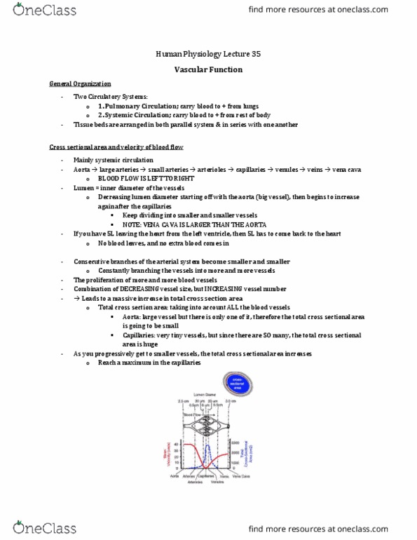 Physiology 3120 Lecture Notes - Lecture 35: Blood Pressure, Pulmonary Artery, Blood Vessel thumbnail