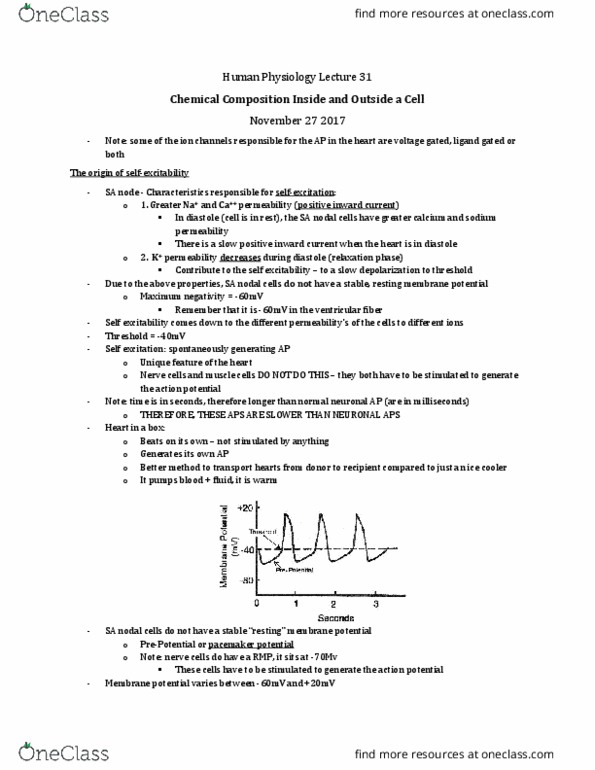 Physiology 3120 Lecture Notes - Lecture 31: Voltage-Gated Potassium Channel, Resting Potential, Threshold Voltage thumbnail