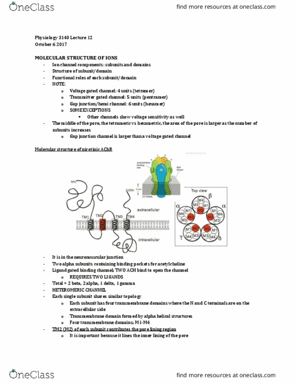 Physiology 3140A Lecture Notes - Lecture 12: Transmembrane Domain, Potassium Channel, Neuromuscular Junction thumbnail