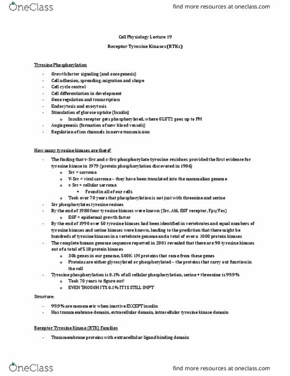 Physiology 3140A Lecture Notes - Lecture 19: Epidermal Growth Factor Receptor, Insulin Receptor, Ephrin thumbnail