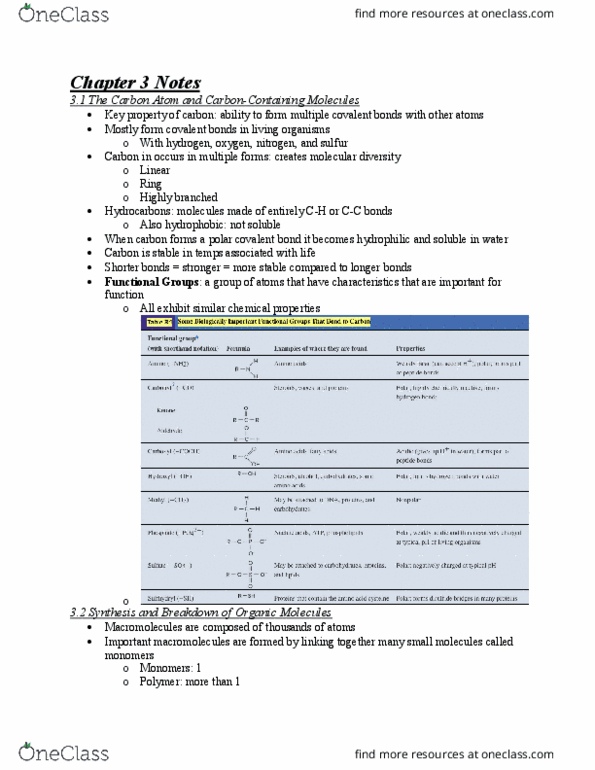 BIOL 2051 Chapter Notes - Chapter 3: Chemical Polarity, Monosaccharide, Disaccharide thumbnail