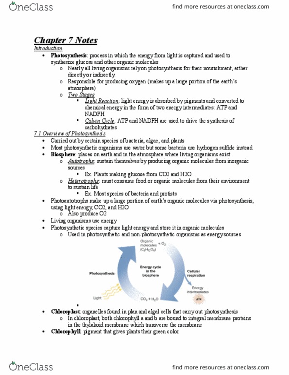 BIOL 2051 Chapter Notes - Chapter 7: Thylakoid, Light-Independent Reactions, Hydrogen Sulfide thumbnail