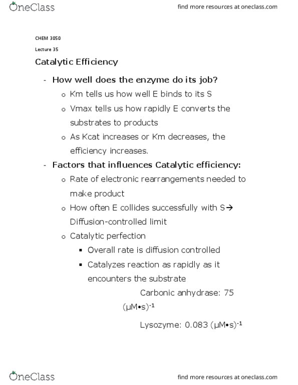 CHEM 3050 Lecture Notes - Lecture 35: Carbonic Anhydrase, Enzyme Kinetics, Lysozyme thumbnail