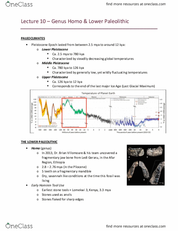 ANTH 210 Lecture Notes - Lecture 10: Olduvai Gorge, Last Glacial Maximum, Homo Habilis thumbnail