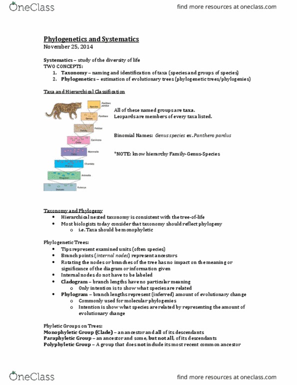 BIOL 1010 Lecture Notes - Lecture 15: Molecular Phylogenetics, Monophyly, Polyphyly thumbnail