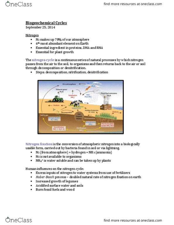 ENVS 1100 Lecture Notes - Lecture 6: Nitrogen Fixation, Denitrification, Nitrification thumbnail