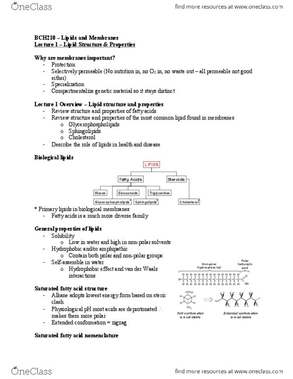 BCH210H1 Lecture Notes - Leucine, Lipid Bilayer, Electron Diffraction thumbnail