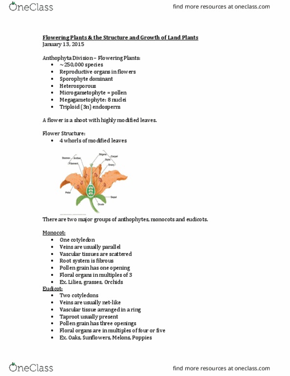 BIOL 1011 Lecture Notes - Lecture 2: Eudicots, Cotyledon, Vascular Tissue thumbnail