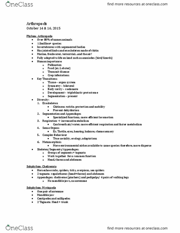 BIOL 2003 Lecture Notes - Lecture 11: Myriapoda, Chelicerata, Chemoreceptor thumbnail