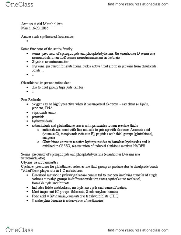 BIOC 2300 Lecture Notes - Lecture 23: Serine Hydroxymethyltransferase, Neural Tube Defect, Methionine Synthase thumbnail