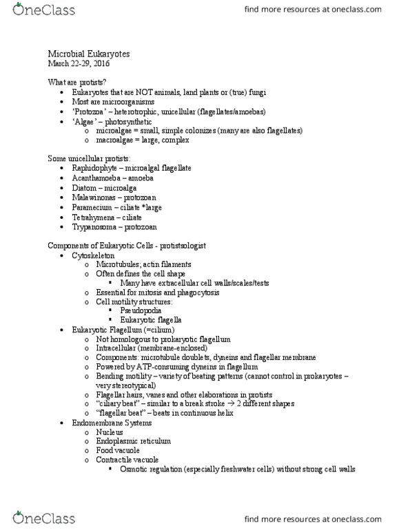 BIOL 2004 Lecture Notes - Lecture 8: Contractile Vacuole, Microphyte, Raphidophyte thumbnail