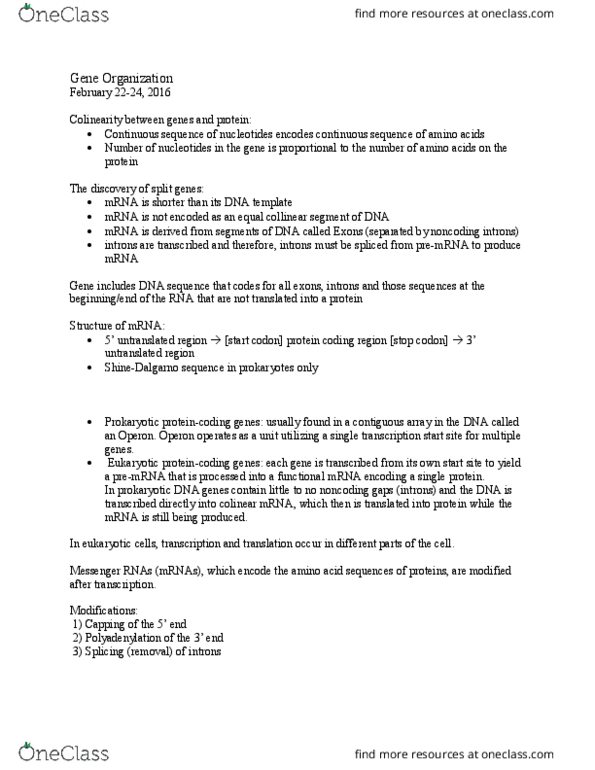 BIOL 2030 Lecture Notes - Lecture 14: Start Codon, Intron, Operon thumbnail