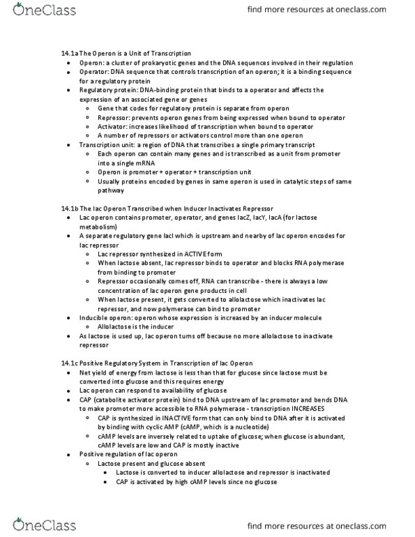 Biology 1002B Chapter Notes - Chapter 14.1: Lac Operon, Lac Repressor, Trp Operon thumbnail