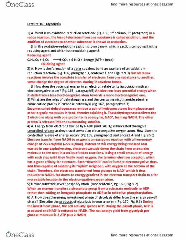 BIOL 2112 Chapter Notes - Chapter 9: Nicotinamide Adenine Dinucleotide, Electron Acceptor, Energy Returned On Energy Invested thumbnail