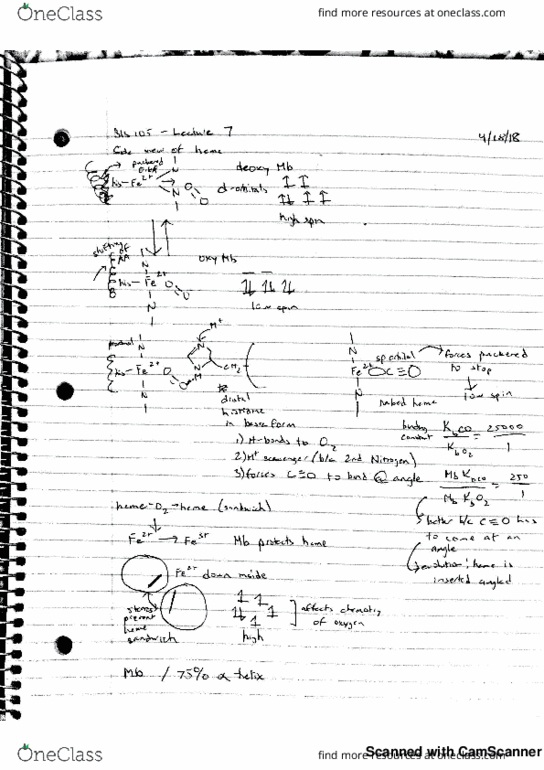 BIS 105 Lecture 7: Myoglobin Example thumbnail