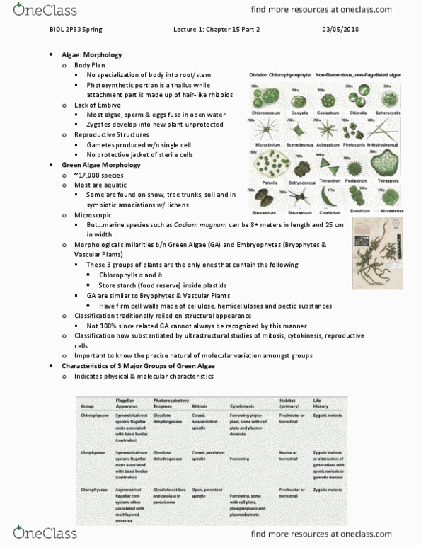 BIOL 2P93 Lecture Notes - Lecture 2: Chlorophyceae, Pyrenoid, Bryophyte thumbnail