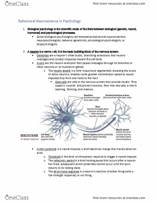 PSY1011 Chapter Notes - Chapter 1: Myelin, Behavioral Neuroscience, Action Potential thumbnail