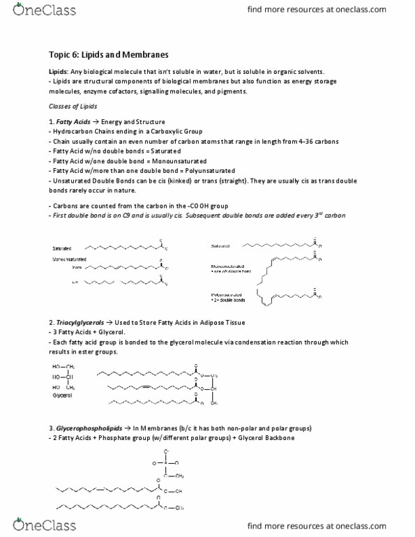 Biochemistry 2280A Lecture Notes - Lecture 6: Glycerophospholipid, Glycerol, Biological Membrane thumbnail