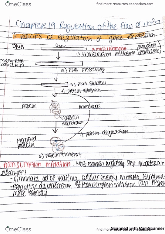 MCDB 3135 Lecture 1: regulation of gene expression thumbnail