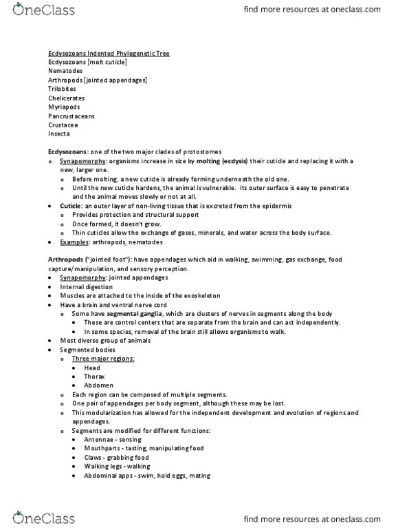 BIOEE 1780 Lecture Notes - Lecture 16: Synapomorphy, Pancrustacea, Crustacean thumbnail