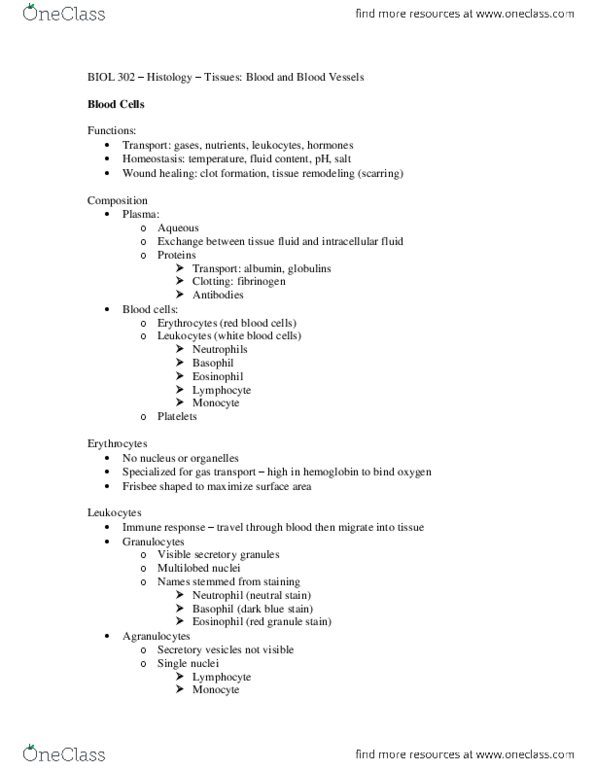 BIOL302 Lecture Notes - Tunica Intima, Loose Connective Tissue, Lymphatic System thumbnail