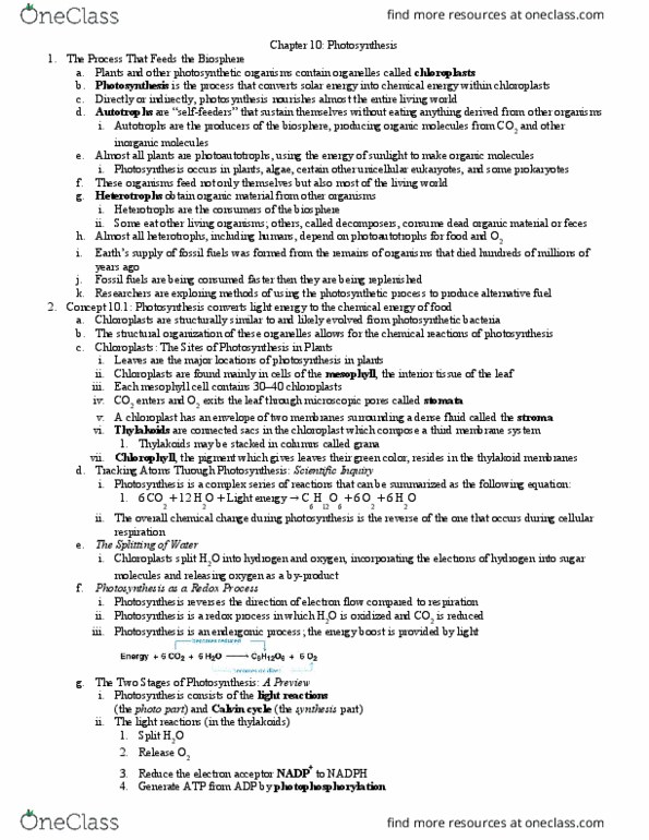 BIO 311C Lecture Notes - Lecture 10: Mitochondrial Matrix, Accessory Pigment, Photosystem I thumbnail