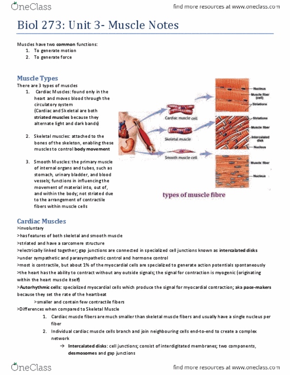 BIOL273 Chapter Notes -Autonomic Nervous System, Membrane Potential, Motor Unit thumbnail