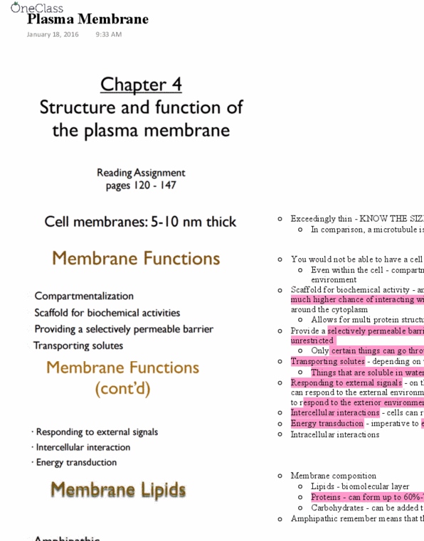 BIOL 2020 Lecture Notes - Lecture 3: Red Blood Cell, Phospholipid, Synthetic Membrane thumbnail
