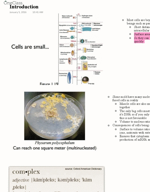 BIOL 2020 Lecture Notes - Lecture 1: Cell Membrane, Sexual Reproduction, Mitosis thumbnail