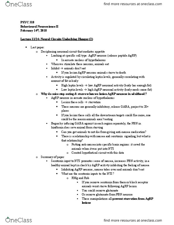 PSYC 310 Lecture Notes - Lecture 8: Clozapine, Hindbrain, Proopiomelanocortin thumbnail