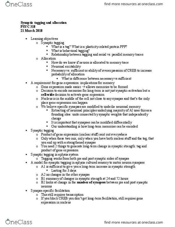 PSYC 310 Lecture Notes - Lecture 15: Cre Recombinase, Motor Neuron, Protein Synthesis Inhibitor thumbnail