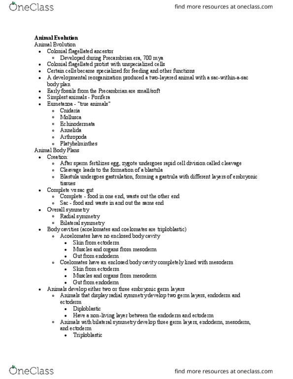 BIOL 1521 Lecture Notes - Lecture 6: Archenteron, Protostome, Annelid thumbnail