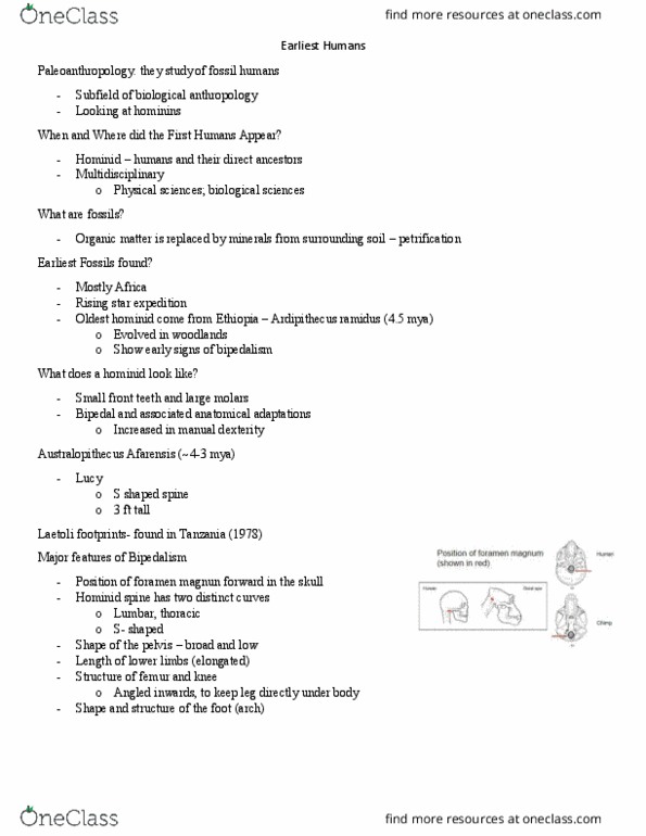 ANTHROP 1AA3 Lecture Notes - Lecture 16: Neanderthal Genome Project, Oldowan, Homo Habilis thumbnail