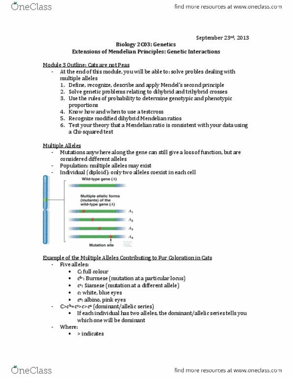 BIOLOGY 2C03 Lecture Notes - Wild Type, Phocomelia, Frameshift Mutation thumbnail