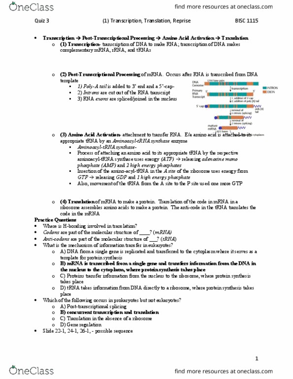 BISC 1112 Lecture Notes - Lecture 1: Ribosomal Rna, Polyadenylation, Transfer Rna thumbnail