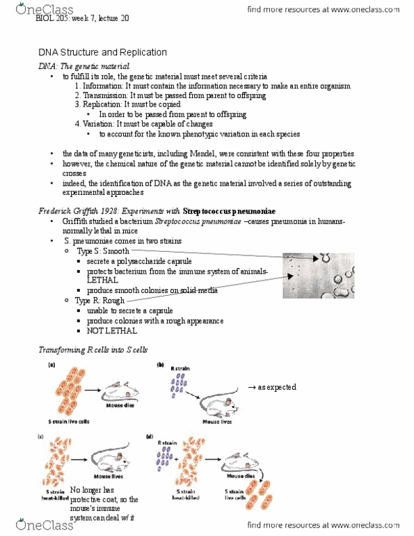 BIOL 205 Lecture Notes - Isotopes Of Nitrogen, Frederick Griffith, Martha Chase thumbnail