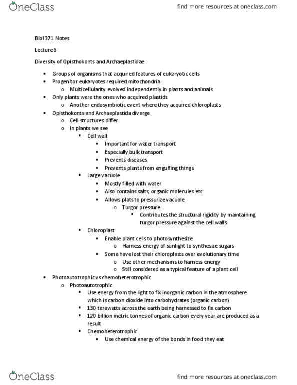 BIOL 371 Lecture Notes - Lecture 6: Photosynthesis, Turgor Pressure, Vacuole thumbnail