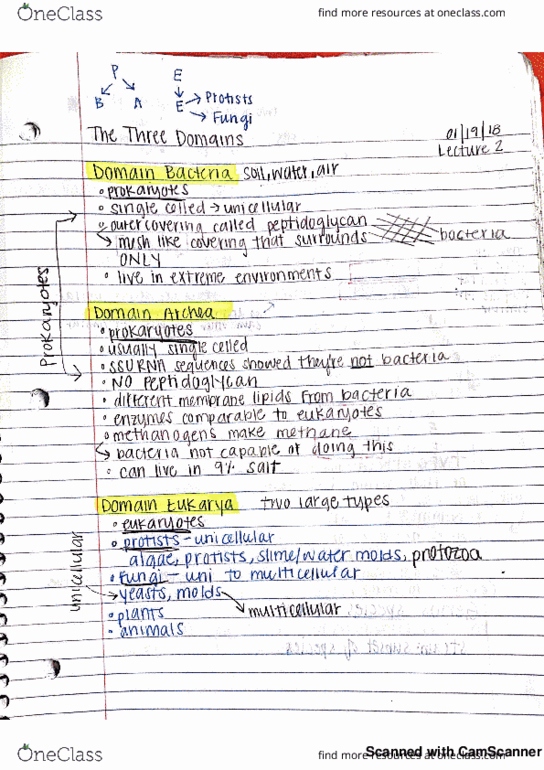 MICR-3050 Lecture 2: Exam 1 Lecture 2 thumbnail